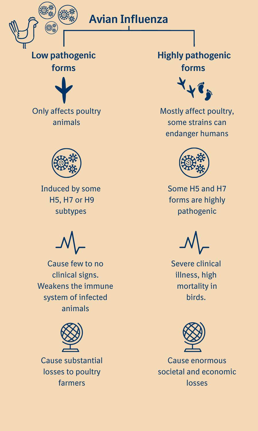 avian-and-other-zoonotic-influenza-introduction-openwho